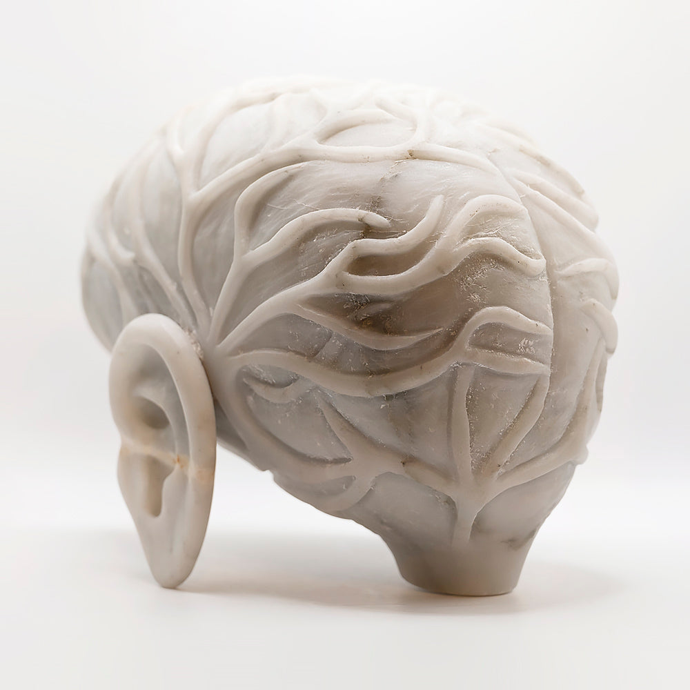 Marble Brain