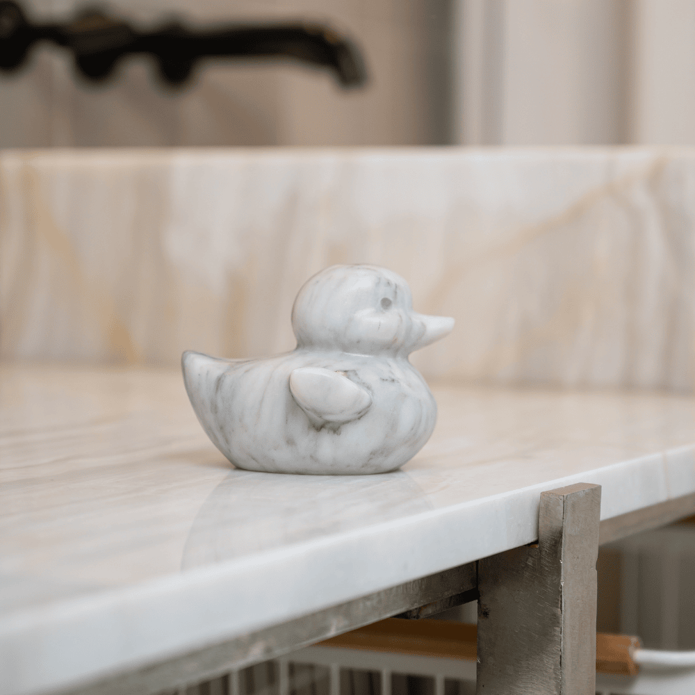 Marble Ducky